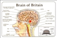 Postcard: Brain of Britain