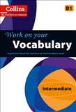Work on your Vocabulary B1 Intermediate Book