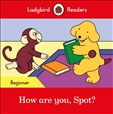 Ladybird Readers Level Beginner: How Are You Spot? Book