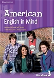 American English in Mind Level 3 Workbook