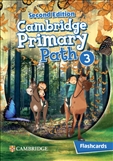 Cambridge Primary Path Second Edition 3 Flashcards