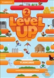 Level Up 2 Flashcards