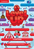 Level Up 3 Flashcards