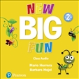 New Big Fun 2 Class Audio CD