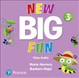New Big Fun 3 Class Audio CD