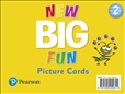 New Big Fun 2 Picture Cards