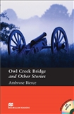 Macmillan Graded Reader Pre-intermediate: Owl Bridge...